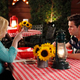 Image for article titled Switched At Birth: “Oh, Future”/The Fosters: “Play”
